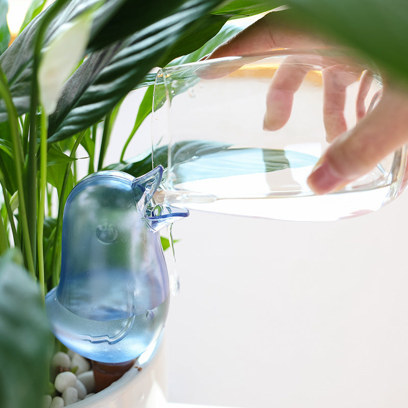 Never Forget to Water Your Plants Again — Here's the Simple Fix