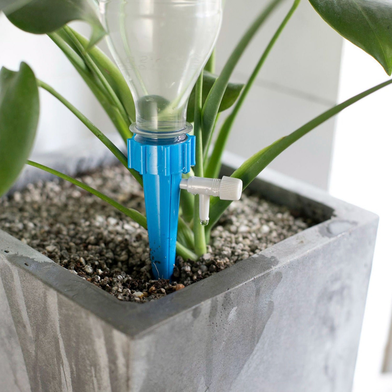 Automatic Plant Watering Spikes with Adjustable Drip Valve (24 & 48-pc Sets)