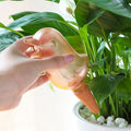 Hand using a duck-shaped plant watering tool on a green plant.