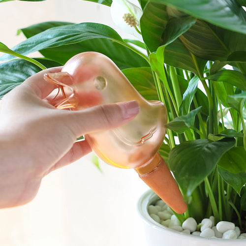 Hand using a duck-shaped plant watering tool on a green plant.