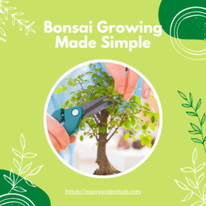 Bonsai Growing Made Simple