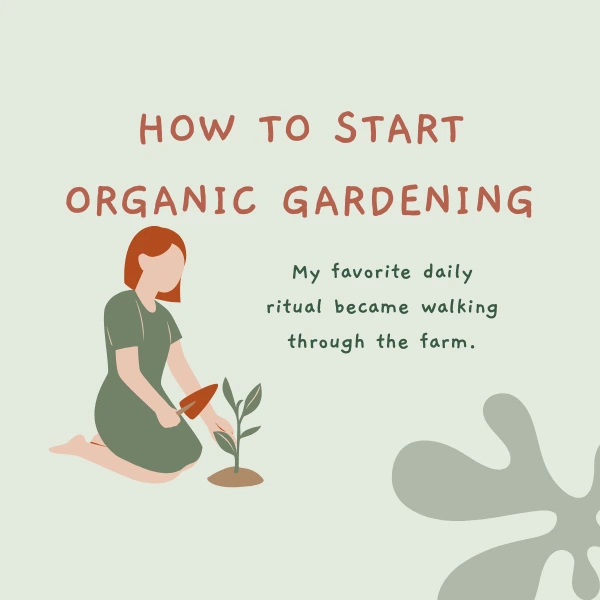 How to start organic gardening