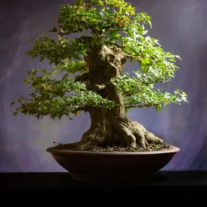 Thriving Bonsai in the Philippines: Solve the 10 Most Common Bonsai Problems