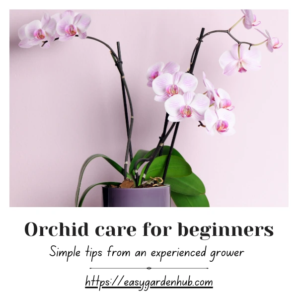 orchids