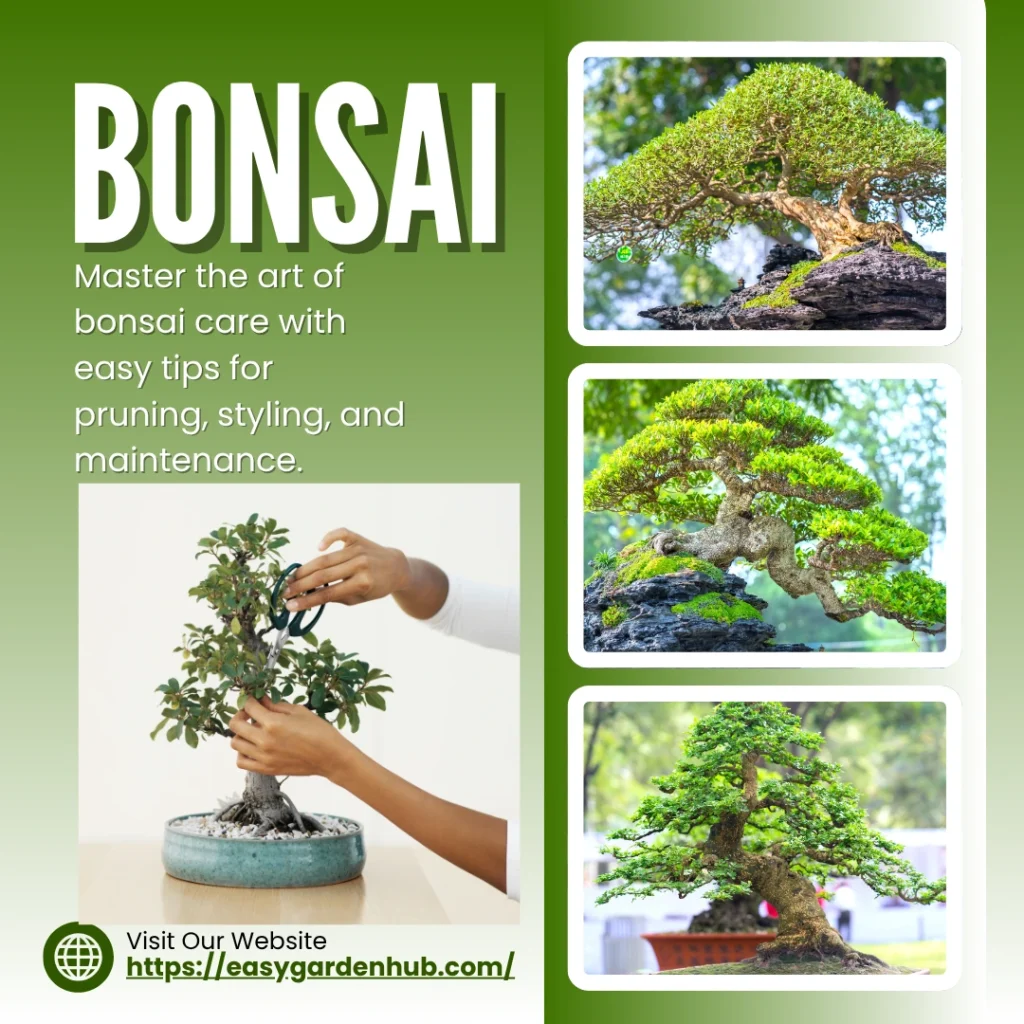 Bonsai