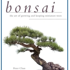 Bonsai Mastery Made Simple